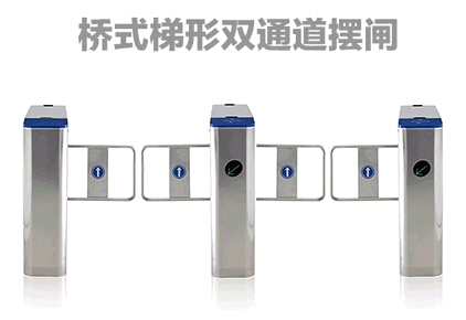 安康岚皋县经济摆闸